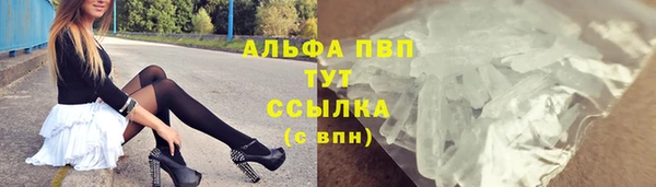 индика Мегион
