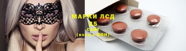 ешки Богданович